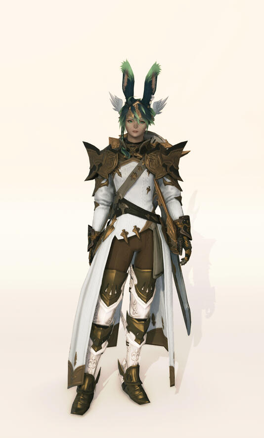 Paladin